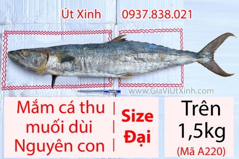 MẮM CÁ THU MUỐI DÙI NGUYÊN CON - TRÊN 1,5KG (MUỐI VÙI) A220