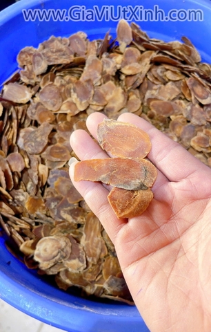 TÂY DƯƠNG SÂM 500G- 1KG- SÂM HOA KỲ CẮT LÁT USA CHÍNH GỐC