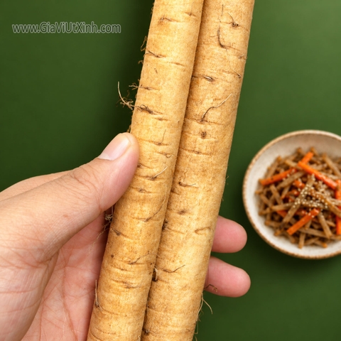 CỦ NGƯU BÀNG TƯƠI 1KG (NGUYÊN CÂY)