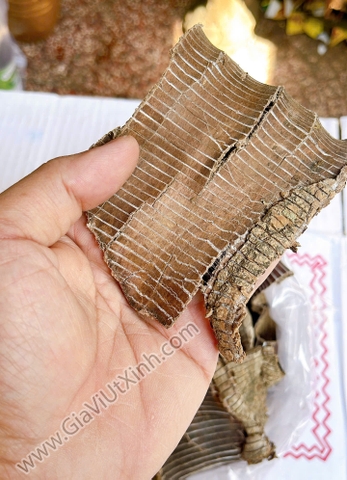 ĐỖ TRỌNG BẮC (DA RẮN) - NGUỒN LAI CHÂU 500G - 1KG -- THUỐC BẮC