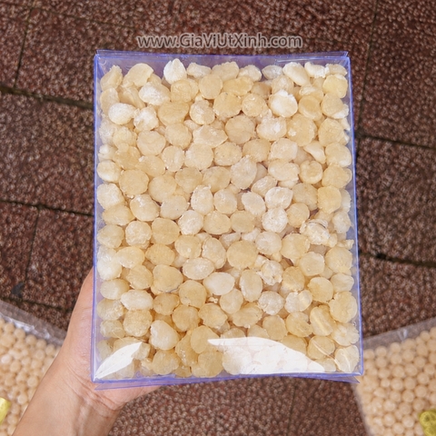 CỒI (CÒI) SÒ ĐIỆP ÍT MẶN - 100G-300G-500G – DỄ NÊM NẾM, PHỐI VỊ - MÃ A700