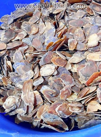 TÂY DƯƠNG SÂM 500G- 1KG- SÂM HOA KỲ CẮT LÁT USA CHÍNH GỐC