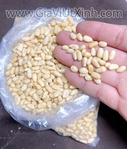 HẠT THÔNG TƯƠI TÁCH VỎ – NHẬP KHẨU MỸ – 100G – 300G – 500G