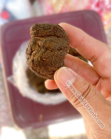 SANH ĐỊA (SÁNG TÌ) – SINH ĐỊA HOÀNG CỦ TO LOẠI 1 – 500G, 1KG