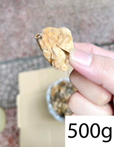 NẤM RƠM SẤY KHÔ 500G – 1KG (NẤM RƠM BÚP SIZE ĐẠI)