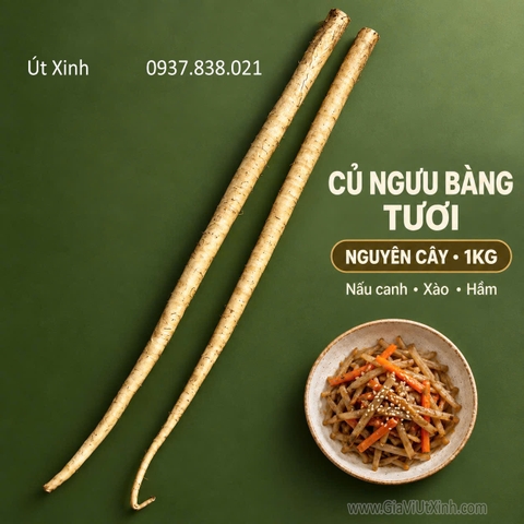 CỦ NGƯU BÀNG TƯƠI 1KG (NGUYÊN CÂY)