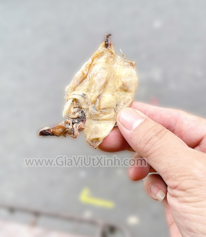 KHÔ MỰC CHUỐI (MỰC SỮA) 500G – 1KG – CHUYÊN NẤU NƯỚC LÈO, NẤU SÚP MÃ A230