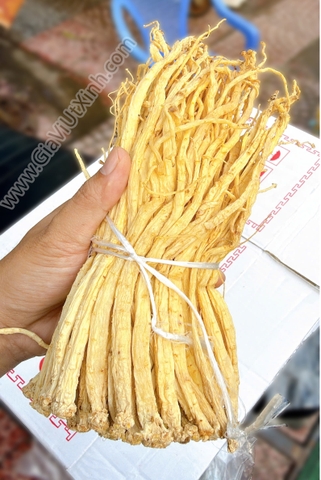 ĐẲNG SÂM KHÔ 50G- 100G- 250G - LỘ ĐẢNG SÂM CAO CẤP HẦM THUỐC BẮC