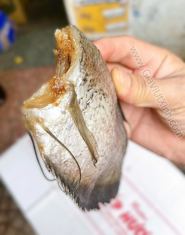 KHÔ CÁ SẶC BỔI CÀ MAU 8 CON/1KG – KHÔNG ĐẦU – SIZE TO DÀY THỊT – A370