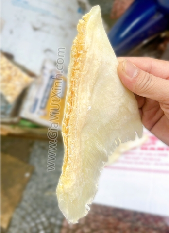 VI CÁ MẬP KHÔ (VÂY CHẸN SIZE LỚN) 500G – 1KG – MÃ A7000
