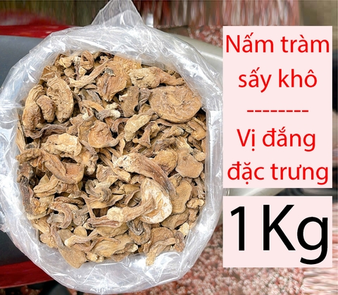 NẤM TRÀM SẤY KHÔ 500G – 1KG – VỊ ĐẮNG THANH ĐẶC TRƯNG