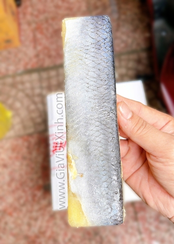 CÁ TRÍCH ÉP TRỨNG MÀU VÀNG NHẬT BẢN (1KG – 6 THANH) – SUSHI SASHIMI