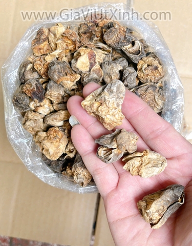 NẤM RƠM SẤY KHÔ 500G – 1KG (NẤM RƠM BÚP SIZE ĐẠI)