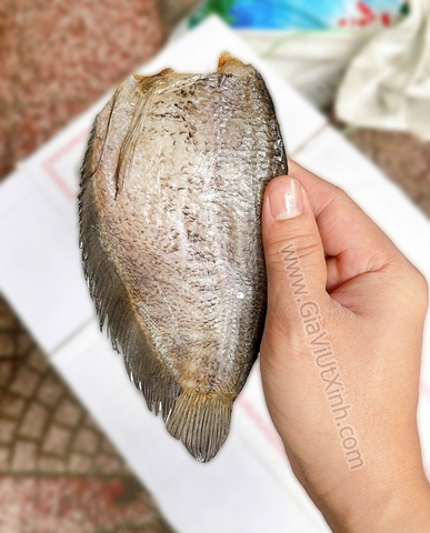 KHÔ CÁ SẶC BỔI CÀ MAU 8 CON/1KG – KHÔNG ĐẦU – SIZE TO DÀY THỊT – A370