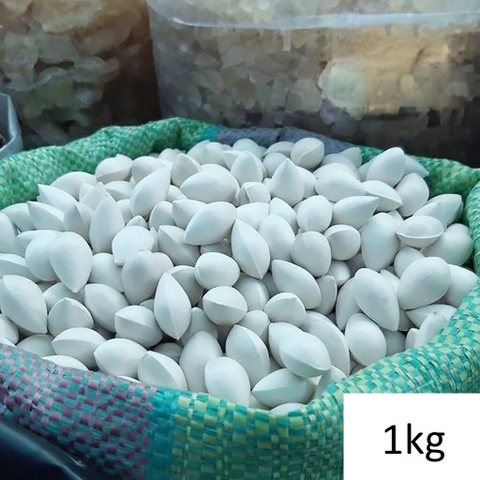 BẠCH QUẢ NGUYÊN HẠT 100G - 500G - 1KG - NGÂN HẠNH - CÔNG TỤ