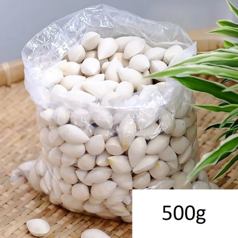 BẠCH QUẢ NGUYÊN HẠT 100G - 500G - 1KG - NGÂN HẠNH - CÔNG TỤ