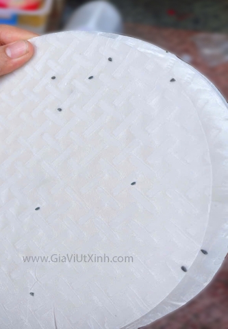 BÁNH TRÁNG NƯỚNG TRẮNG CÓ MÈ ĐÀ LẠT 1KG – KHOẢNG 40 CÁI