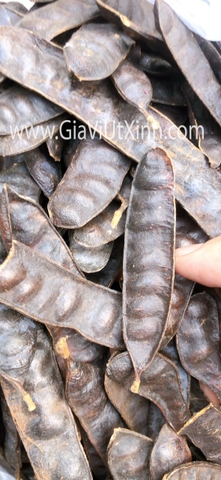 TRÁI BỒ KẾT KHÔ 50G - 100G - LEBBEK SEED - FRYWOOD
