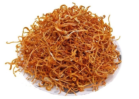 BÔNG ĐÔNG TRÙNG HẠ THẢO 100G - TRÙNG THẢO HOA  - KIM TRÙNG THẢO - JIN CHONG CAO