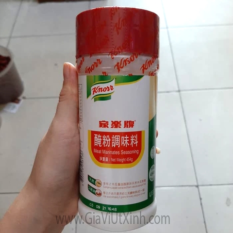 BỘT LÀM MỀM THỊT KNORR 454g - MEAT TENDERIZER POWDER