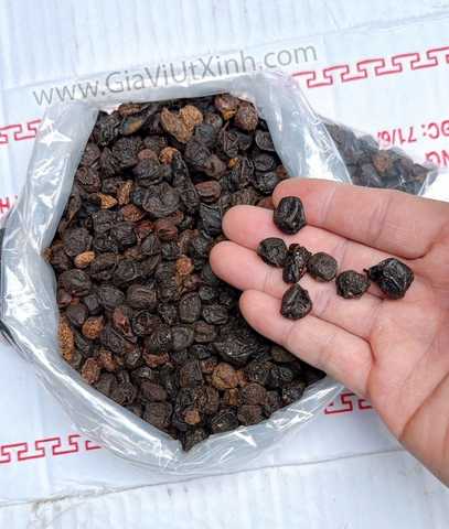 HẠT MẮC MẬT KHÔ 500G-1KG - QUẢ MÓC MẬT KHÔ TÂY BẮC