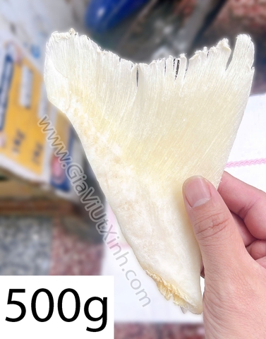 VI CÁ MẬP KHÔ (VÂY CHẸN SIZE LỚN) 500G – 1KG – MÃ A7000