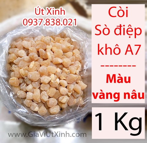 CỒI (CÒI) SÒ ĐIỆP KHÔ 1KG - SCALLOP ADDUCTOR MUSCLE - A7 (MÀU VÀNG NÂU)