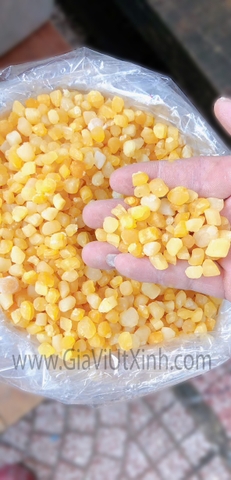 CỒI SÒ ĐIỆP KHÔ 1KG - SCALLOP ADDUCTOR MUSCLE - A7 (MÀU VÀNG TƯƠI)