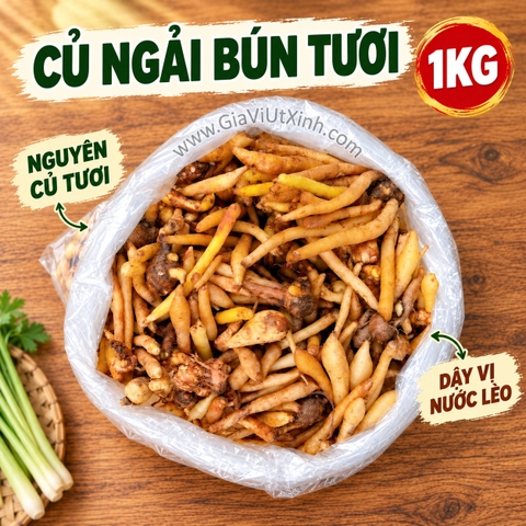 CỦ NGẢI BÚN TƯƠI 1KG – NGẢI BÚN VÀNG, GIA VỊ NẤU BÚN MIỀN TÂY