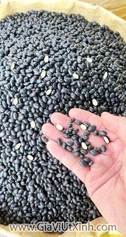 ĐÂU ĐEN ĐÀ LẠT TRẮNG LÒNG 1KG - HẠT TO BÉO, VỊ THƠM NẤU CHÈ, NẤU SÚP