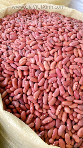 ĐÂU ĐỎ TÂY ĐÀ LẠT 1KG- ĐẬU THẬN- HẠT TO DÀI NẤU CHÈ, NẤU SÚP