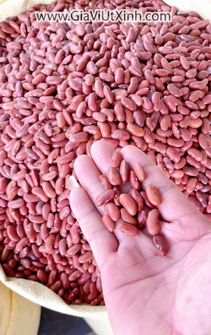 ĐÂU ĐỎ TÂY ĐÀ LẠT 1KG- ĐẬU THẬN- HẠT TO DÀI NẤU CHÈ, NẤU SÚP