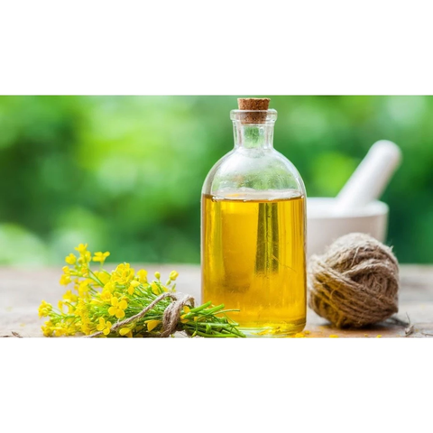 DẦU HẠT CẢI HONGKONG SƯ TỬ 1 LÍT - LION & GLOBE PURE CANOLA OIL