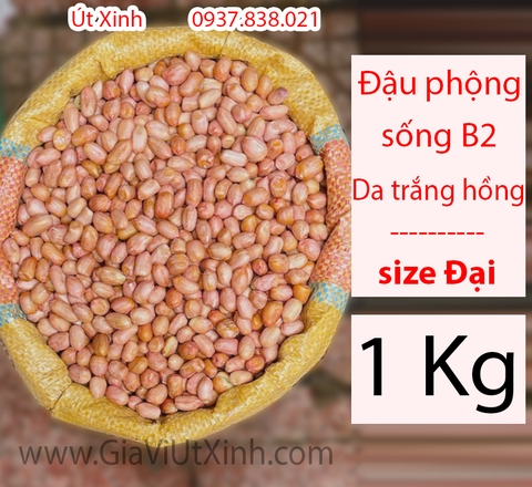ĐẬU PHỘNG SỐNG B2 - DA TRẮNG HỒNG - SIZE ĐẠI - TÚI 1KG