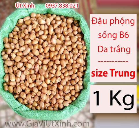 ĐẬU PHỘNG SỐNG B6 - DA TRẮNG - SIZE TRUNG - TÚI 1KG