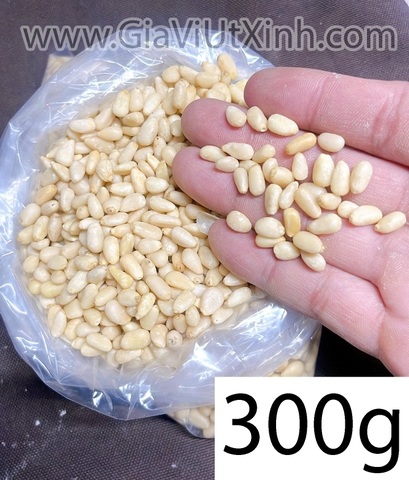 HẠT THÔNG TƯƠI TÁCH VỎ – NHẬP KHẨU MỸ – 100G – 300G – 500G