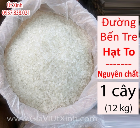 ĐƯỜNG BẾN TRE HẠT TO – NGUYÊN CHẤT – 12KG NGUYÊN CÂY