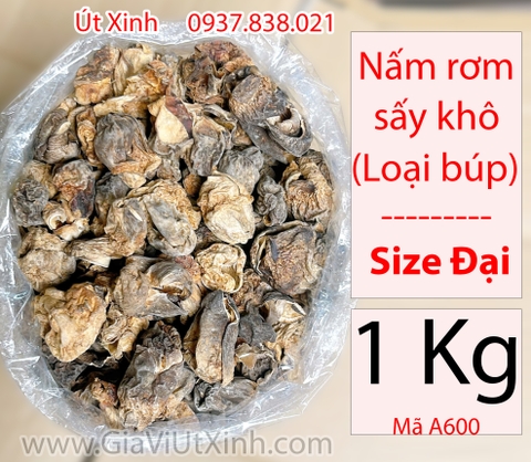 NẤM RƠM SẤY KHÔ 500G – 1KG (NẤM RƠM BÚP SIZE ĐẠI)