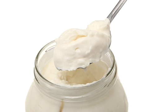 SỐT MAYONNAISE REMIA HÀ LAN 250ML – 500ML – 1L