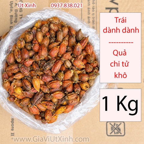 TRÁI DÀNH DÀNH KHÔ 500G - 1KG (QUẢ CHI TỬ) – NGUYÊN LIỆU THUỐC BẮC