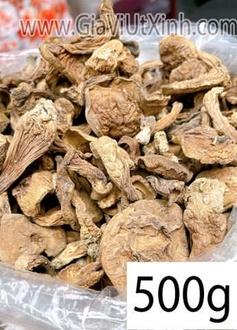 NẤM TRÀM SẤY KHÔ 500G – 1KG – VỊ ĐẮNG THANH ĐẶC TRƯNG