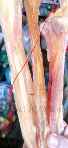 GÂN NAI KHÔ 100G -250G - 500G - DRY DEER TENDONS