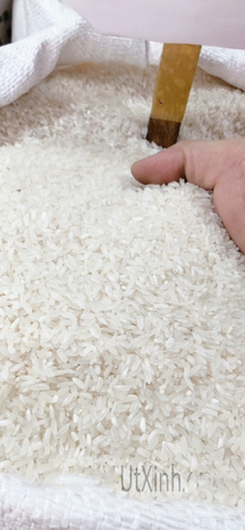 GẠO NỞ 1KG