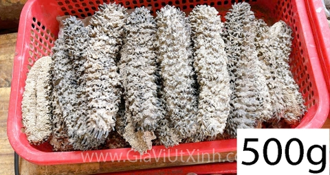 HẢI SÂM GAI KHÔ TỰ NHIÊN 500G - 1KG - LOẠI A27 CAO CẤP