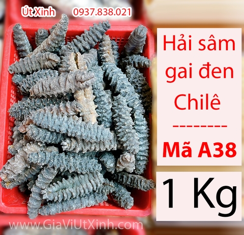 HẢI SÂM KHÔ GAI ĐEN CHILE 500G - 1KG - LOẠI A38 NHẬP KHẨU