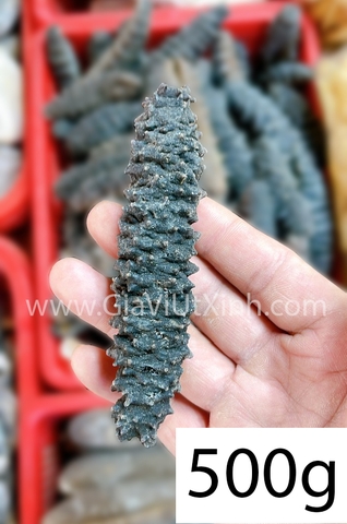 HẢI SÂM KHÔ GAI ĐEN CHILE 500G - 1KG - LOẠI A38 NHẬP KHẨU