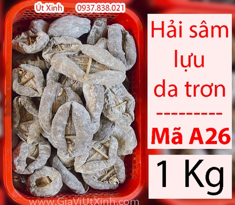 HẢI SÂM LỰU DA TRƠN 500G - 1KG - LOẠI A26 CAO CẤP