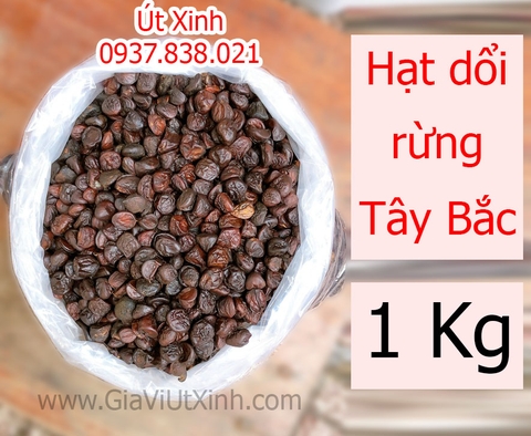 HẠT DỔI RỪNG TÂY BẮC 50G - 100G - 250G - 1KG - MICHELIA TONKINENSIS A. CHEV