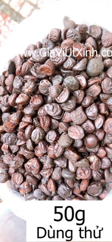 HẠT DỔI RỪNG TÂY BẮC 50G - 100G - 250G - 1KG - MICHELIA TONKINENSIS A. CHEV