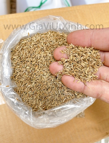 HẠT THÌ LÀ CUMIN 1KG – CUMIN WHOLE ẤN ĐỘ – HẠT XIROM NGUYÊN CHẤT